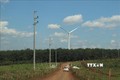 Những dự án điện gió với kỳ vọng thúc đẩy phát triển kinh tế - xã hội - du lịch cho Gia Lai. Ảnh: Hồng Điệp - TTXVN
