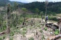 Những diện tích rừng bị tàn phá tại tiểu khu 704, xã Cư Bông (huyện Ea Kar) khu vực giáp ranh với xã Cư Pui (huyện Krông Bông), tỉnh Đắk Lắk. Ảnh: TTXVN
