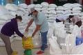 Tổ chức xuất, cấp gạo cho người dân gặp khó khăn tại xã Bình Ngọc, thành phố Tuy Hòa (Phú Yên). Ảnh: Xuân Triệu - TTXVN
