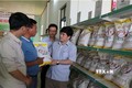 Gạo Phú Thiện ngày càng khẳng định vị thế trên thị thường thông qua kênh sản xuất, chế biến từ Hợp tác xã nông nghiệp Chư A Thai. Ảnh: Hồng Điệp - TTXVN
