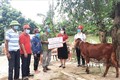 Các hộ dân được hỗ trợ sinh kế vui mừng, phấn khởi khi được trao hỗ trợ sinh kế từ lãnh đạo Hội Chữ thập đỏ tỉnh Quảng Bình. Ảnh: Võ Dung -TTXVN
