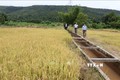 Hệ thống thủy lợi dẫn nước về các cánh đồng tại xã Ayun (Chư Sê, Gia Lai). Ảnh: Hồng Điệp - TTXVN
