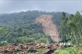 Khu vực sạt lở thuộc rừng khoanh nuôi tái sinh trồng từ trước năm 2000. Ảnh: Tường Quân - TTXVN
