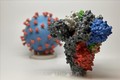Các biến thể mới của virus SARS-CoV-2 có thể lây nhiễm ở chuột