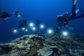 Các nhà khoa học nghiên cứu rạn san hô ở ngoài khơi đảo Tahiti, phía Nam Thái Bình Dương. Ảnh: nieuwsblad.be