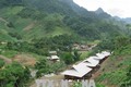 Sơn La là tỉnh miền núi có nguy cơ cao bùng phát dịch sốt rét nếu không thực hiện tốt các biện pháp phòng ngừa. Ảnh: TTXVN
