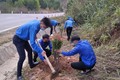 Đoàn viên Thanh niên thành phố Móng Cái tham gia trồng cây. Ảnh: doanthanhnien.vn
