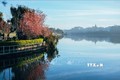 Hồ Xuân Hương – trái tim của Đà Lạt và cũng là thắng cảnh nổi tiếng, thu hút du khách trong và ngoài nước bởi vẻ đẹp dịu dàng, lãng mạng. Ảnh : Nguyễn Dũng-TTXVN
