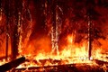 Carbon nâu thải ra từ các vụ cháy rừng trên thực tế góp phần nhiều hơn vào gây ra hiện tượng Trái Đất nóng lên. Ảnh: AFP/TTXVN
