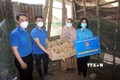 Thành đoàn Kon Tum trao tặng mô hình sinh kế gồm 200 con gà ri giống cho hộ gia đình chị Y Viêng (làng Plei Klech, xã Ngọk Bay, thành phố Kon Tum). Ảnh: Khoa Chương - TTXVN
