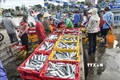 Hoạt động mua bán hải sản tại Cảng cá Phan Thiết (Bình Thuận). Ảnh: Nguyễn Thanh - TTXVN