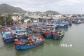 Tàu cá của ngư dân Ninh Thuận và các tỉnh, thành vào neo đậu tại cảng Ninh Chữ (huyện Ninh Hải, Ninh Thuận). Ảnh: Nguyễn Thành – TTXVN