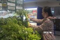 Siêu thị Coopmart - chi nhánh Thanh Hóa đã dùng các loại lá thân thiện với môi trường như lá chuối, lá dong, bẹ ngô... để bọc thực phẩm thay cho túi nilon. Ảnh: Hoa Mai - TTXVN
