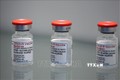 Vaccine phòng COVID-19 của Moderna. Ảnh: AFP/TTXVN
