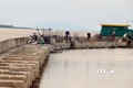 Thi công bờ kè chống sạt lở vàm kênh Cụt, TP. Rạch Giá (Kiên Giang). Ảnh: Lê Huy Hải - TTXVN
