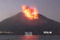 Núi lửa Sakurajima phun nham thạch. Ảnh: AFP/TTXVN
