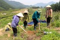 Quảng Ninh không sử dụng đất rừng và lấn biển để phát triển công nghiệp