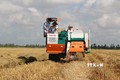 Máy cuộn rơm sau khi lúa được thu hoạch bằng máy gặt đập. Ảnh: Tuấn Kiệt - TTXVN
