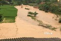 Yên Bái chịu nhiều thiệt hại do mưa lớn kéo dài