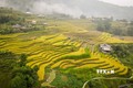 Liên kết khai thác lợi thế, phát triển bền vững du lịch Hà Giang