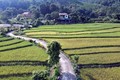 Đổi thay ở xã nông thôn mới kiểu mẫu đầu tiên tại Tuyên Quang