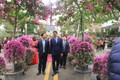 Hà Nội tổ chức Lễ hội hoa Mê Linh năm 2022 - “Mê Linh rực rỡ sắc hoa" trong 3 ngày từ 9 - 11/12 tại Di tích Quốc gia đặc biệt Đền Hai Bà Trưng. Ảnh: Nguyễn Tuyền