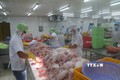 Chế biến cá da trơn xuất khẩu tại Công ty Cổ phần Gò Đàng (Tiền Giang). Ảnh: Minh Trí - TTXVN
