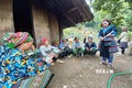 Cán bộ kỹ thuật ở thị xã Sa Pa (Lào Cai) hướng dẫn người dân trồng rau sạch, cho kinh tế cao. Ảnh: Hồng Ninh - TTXVN
