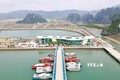 Cảng tàu  ở Quảng Ninh. Ảnh: Thanh Vân-TTXVN