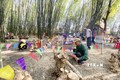 Với chủ đề “Văn hóa, nghệ thuật, thiên nhiên, con người Tây Nguyên”, nghệ nhân có thời gian 3 ngày để chế tác sản phẩm mỹ nghệ trên thân gỗ cây cà phê. Ảnh: Hoài Thu – TTXVN

