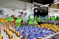 Công nhân làm đồ chơi trẻ em bằng gỗ tại Công ty Gỗ Đức Thành. Ảnh: Hồng Đạt - TTXVN
