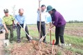 Kỷ niệm Ngày sinh Chủ tịch Hồ Chí Minh: Bến Tre trồng cây nhớ Bác