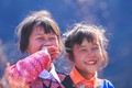 Tuổi thơ hồn nhiên của trẻ em dân tộc Mông ở xã Vân Hồ, huyện Mộc Châu (Sơn La). Ảnh: Lưu Trọng Đạt