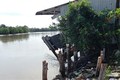 Công bố tình huống khẩn cấp sự cố sạt lở bờ sông tại huyện Cầu Ngang, Trà Vinh
