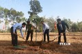 Thừa Thiên - Huế ứng dụng công nghệ số để quản lý rừng thông minh