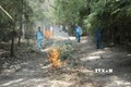 Lực lượng bảo vệ rừng tại khu vực núi Dinh, thị xã Phú Mỹ tạo dọn đường băng cản lửa để phòng chống cháy rừng trong mùa khô. Ảnh: Hoàng Nhị - TTXVN