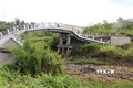 Cầu giao thông nông thôn đường tỉnh 965 (đường đê ngoài), ấp Kinh 5, xã An Minh Bắc, huyện U Minh Thượng (Kiên Giang) bị sụt lún, sạt lở. Ảnh: Lê Huy Hải - TTXVN
