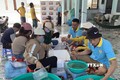 Đóng tôm chuyển về các cơ sở nuôi tôm ở miền Tây tại Cơ sở sản xuất tôm giống ở Nhơn Hải (Ninh Hải, Ninh Thuận). Ảnh: TTXVN phát