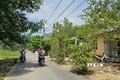 Đường dân sinh trong khu tái định cư Bố Lang, xã Sơn Thái, huyện Khánh Vĩnh, tỉnh Khánh Hòa được trải nhựa đường sạch đẹp. Ảnh: TTXVN phát