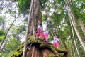 Những khoảnh rừng tự nhiên ở Tây Giang đã trở thành điểm du lịch sinh thái đầy lý thú cho những ai thích khám phá, trải nghiệm ở vùng cao Quảng Nam. Ảnh: Khánh Nguyên