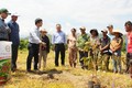 Đảng ủy Khối các cơ quan và doanh nghiệp tỉnh Đắk Lắk tặng cây giống cho đồng bào ở buôn kết nghĩa Liêng Krắk, xã Krông Nô, huyện Lắk. Ảnh: Hoài Thu