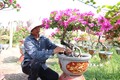 Anh Võ Ngọc Khánh tạo tán, chăm sóc vườn hoa giấy ngũ sắc. Ảnh: Thanh Tân - TTXVN