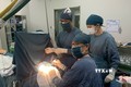 Các bác sĩ khoa Ngoại thần kinh – Bệnh viện Đa khoa tỉnh Ninh Thuận phẫu thuật cho bệnh nhân bị xuất huyết não. Ảnh: TTXVN phát