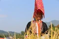Nét đẹp trang phục truyền thống của cô gái Dao Thanh Phán, một trong những sức hút với du khách khi đến Bình Liêu ( Quảng Ninh). Ảnh: Thanh Vân-TTXVN