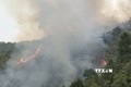 Điện Biên: Cảnh báo cháy rừng cấp cực kỳ nguy hiểm