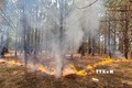 Các địa phương triển khai nhiều biện pháp cấp bách phòng, chống cháy rừng