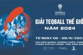 Giải Teqball thế giới 2024 tại Quy Nhơn, Bình Định. Ảnh: laodong.vn