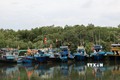 Bà Rịa-Vũng Tàu: Nhiều tàu cá nằm bờ vì giấy phép khai thác mới