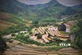 Vẻ đẹp của những thửa ruộng bậc thang Khun Há, huyện Tam Đường, tỉnh Lai Châu vào mùa nước đổ. Ảnh: Nguyễn Oanh-TTXVN