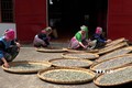 Sản phẩm chè Shan Tuyết của Yên Bái được chế biến theo bí quyết truyền thống, đặc biệt là kỹ thuật ủ lên men và ướp tẩm hương vị. Ảnh: TTXVN phát
